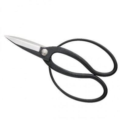 Photo1: No.2081  Professional long bladed garden shears aogami [226g/200mm]