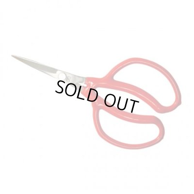 Photo1: No.2046  Stainless steel grape picking scissors [63g/175mm]