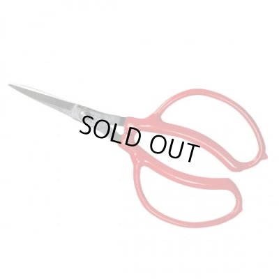 Photo1: No.2045  Grape picking scissors bend type [65g/175mm]