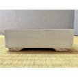 Photo1: No.WY2013-5 <br>Square Bonsai pot, white (1)