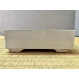 No.WY2013-5  Square Bonsai pot, white