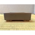 Photo1: No.BR2013-5 <br>Square Bonsai pot, brown (1)