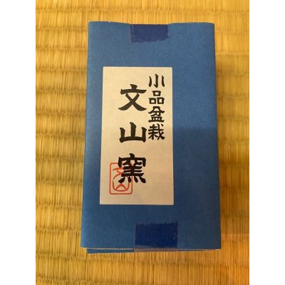 Photo6: No.MP8A-01  Mame pot set, 6 pieces with board