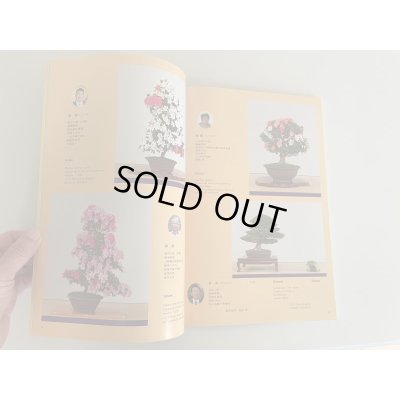 Photo3: No.SF2017  Satsuki Festival 2017