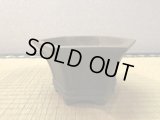 No.EB0081  Used pot