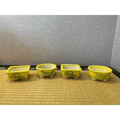 Photo2: No.Maru511  Bunzan shohin bonsai pot set, 4pcs