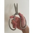 Photo4: No.8502 <br>Gardening Shears* [200g/215mm] (4)