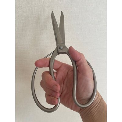 Photo4: No.8502  Gardening Shears* [200g/215mm]