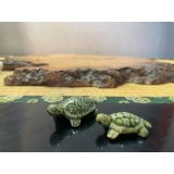 No.MSGR4015-4016  Tortoise