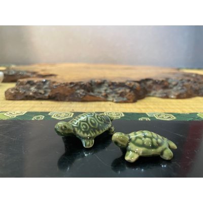 Photo1: No.MSGR4015-4016  Tortoise