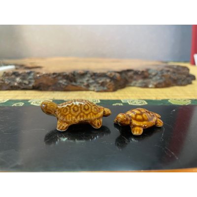 Photo1: No.MSBR4017-1048  Tortoise