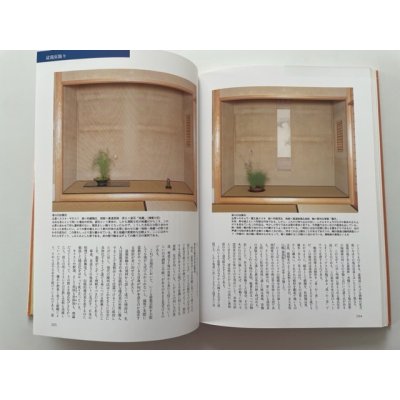 Photo5: No.Bonsai encyclopedia  Conifer (Pinus thunbergii, Pinus densiflora)