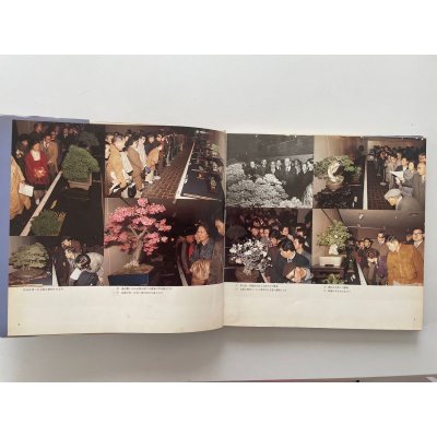 Photo3: No.KF52  Kokufu album 1978 (total 228 pages)