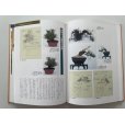 Photo4: No.Bonsai encyclopedia  Conifer (Pinus thunbergii, Pinus densiflora)