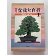 Photo1: No.Bonsai encyclopedia <br>Conifer (Pinus thunbergii, Pinus densiflora) (1)