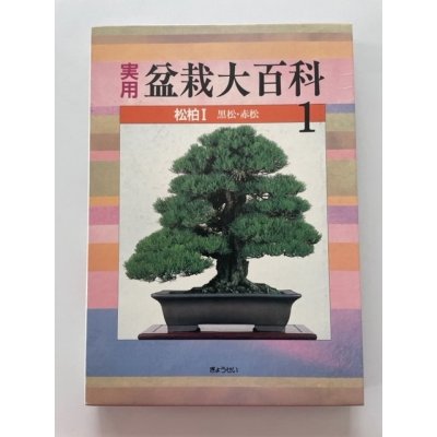 Photo1: No.Bonsai encyclopedia  Conifer (Pinus thunbergii, Pinus densiflora)