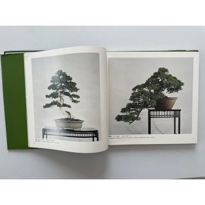 Photo2: No.KF51  Kokufu album 1977 (total 229 pages)