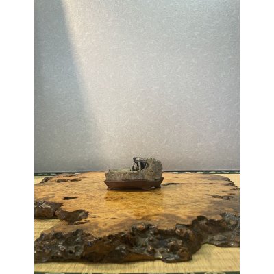 Photo1: No.HR3901  (Origin unknown)