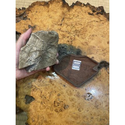 Photo5: No.HR3901  (Origin unknown)