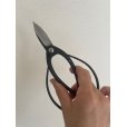 Photo5: No.0051 <br>Trimming Shears-P [150g/180mm] (5)