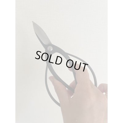 Photo5: No.0051  Trimming Shears-P [150g/180mm]
