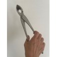 Photo4: No.8316 <br>Branch Cutter, large* [520g/300mm] (4)