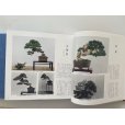 Photo5: No.Premium History  Special premium book history of Kokufu Bonsai Exhibition 50years