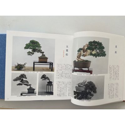 Photo5: No.Premium History  Special premium book history of Kokufu Bonsai Exhibition 50years