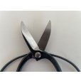 Photo4: No.0502 <br>Gardening Shears [200g/215mm] (4)