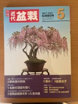 No.Kinbon Air  Kinbon subscription by airmail Annual subscription (12 copies) Postage by airmail