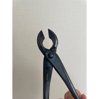 Photo6: No.0516  Concave Branch Cutter, Specially Made small size (Made to order)* [120g/170mm]