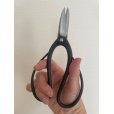 Photo4: No.S-1  S-TRIM, SHEARS [150g/180mm]