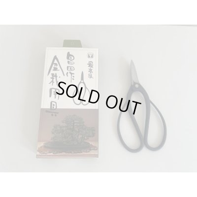 Photo1: No.S-1  S-TRIM, SHEARS [150g/180mm]