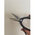 Photo5: No.S-1  S-TRIM, SHEARS [150g/180mm]