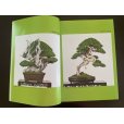 Photo2: No.SF album 49 <br>Sakufu ten No.49 (2023) (2)