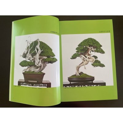 Photo2: No.SF album 49  Sakufu ten No.49 (2023)