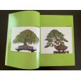 Photo3: No.SF album 49 <br>Sakufu ten No.49 (2023) (3)