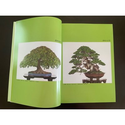 Photo3: No.SF album 49  Sakufu ten No.49 (2023)