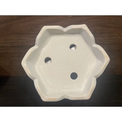 Photo13: No.MH4827 Tsukinowa shousen bonsai pot