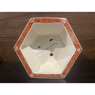 Photo12: No.MH4827 Tsukinowa shousen bonsai pot