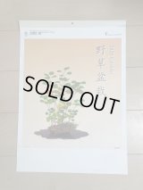 No.2025CA-1 Bonsai calendar