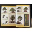 Photo2: No.Kinbon Sea <br>Kinbon subscription by sea Annual subscription ( 12 copies ) Postage by sea (2)