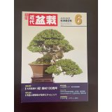 No.Kinbon Sea  Kinbon subscription by sea Annual subscription ( 12 copies ) Postage by sea