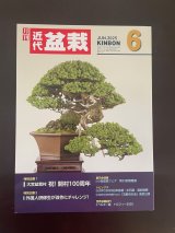 No.Kinbon Sea  Kinbon subscription by sea Annual subscription ( 12 copies ) Postage by sea