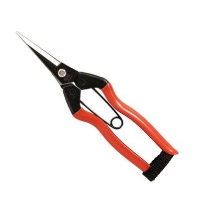 Photo1: No.1111  Bud cutting scissors