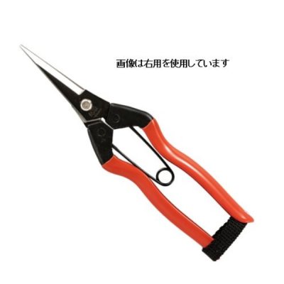 Photo1: No.1112  Bud cutting scissors