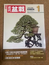 No.Kinbon Air  Kinbon subscription by airmail Annual subscription (12 copies) Postage by airmail