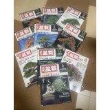 No.TB0207  Kinbon back issue, 10 copies