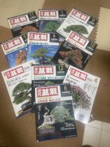 No.TB0207  Kinbon back issue, 10 copies