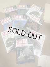 No.TB0307  Kinbon back issue, 10 copies